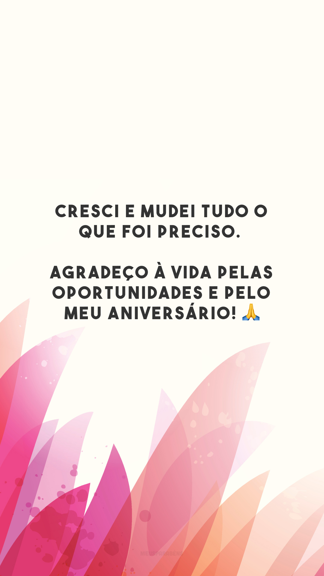 Cresci e mudei tudo o que foi preciso. Agradeço à vida pelas oportunidades e pelo meu aniversário! 🙏