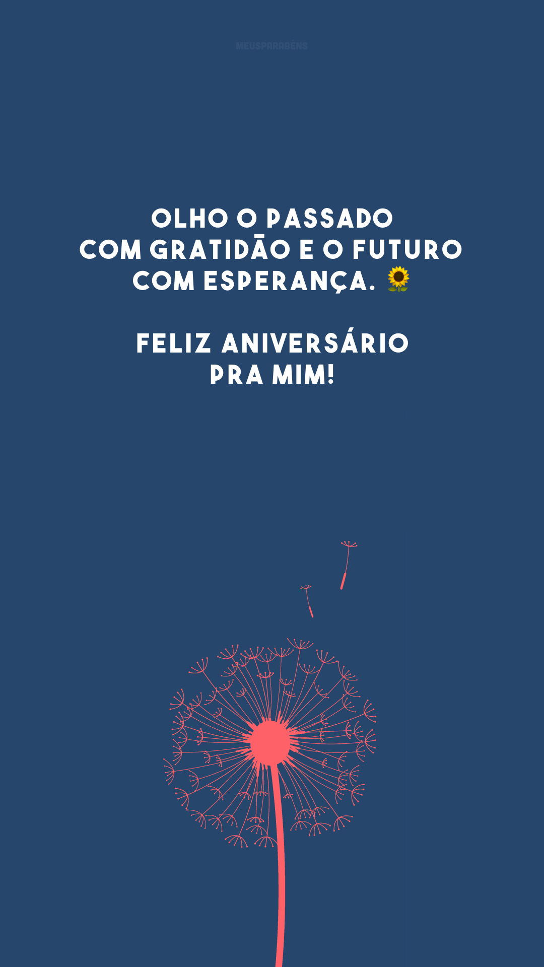 Olho o passado com gratidão e o futuro com esperança. 🌻 Feliz aniversário pra mim!