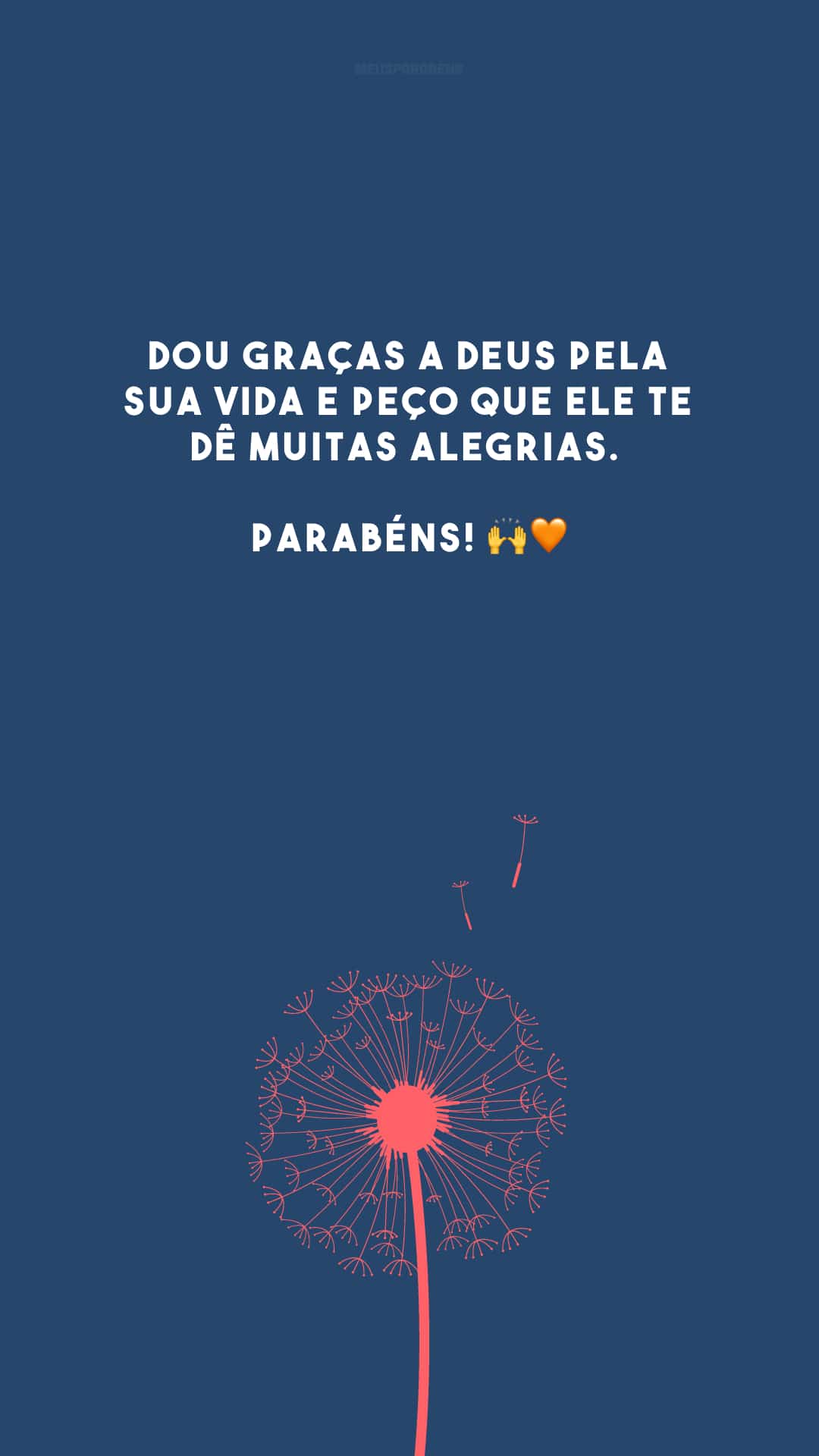 Dou graças a Deus pela sua vida e peço que Ele te dê muitas alegrias. Parabéns! 🙌🧡