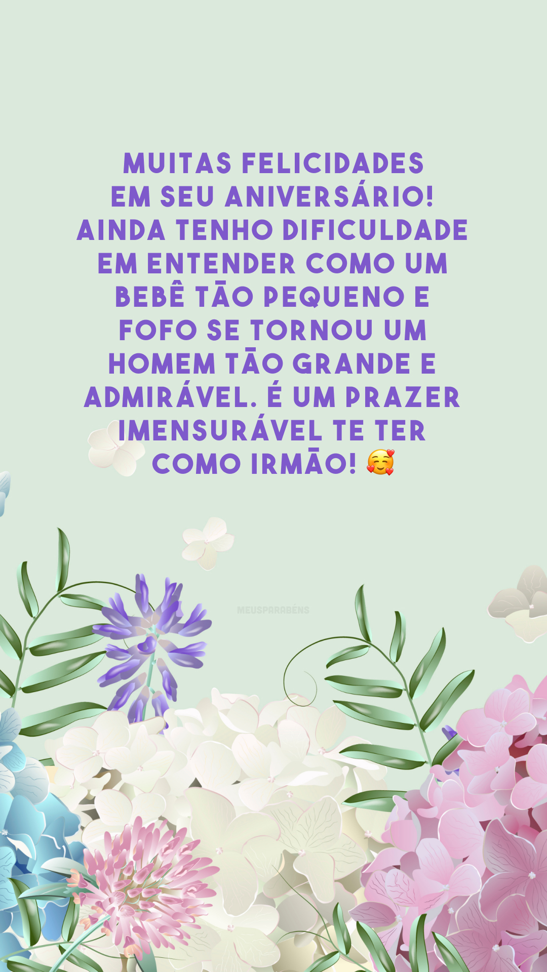 Muitas felicidades em seu aniversário! Ainda tenho dificuldade em entender como um bebê tão pequeno e fofo se tornou um homem tão grande e admirável. É um prazer imensurável te ter como irmão! 🥰