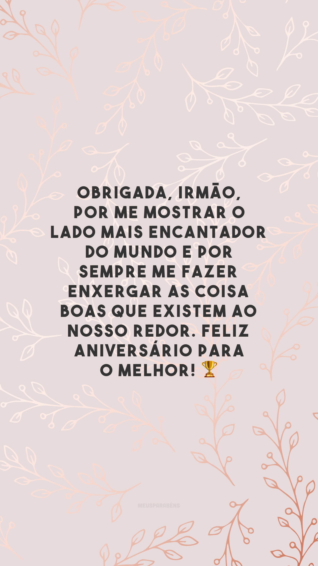 Obrigada, irmão, por me mostrar o lado mais encantador do mundo e por sempre me fazer enxergar as coisa boas que existem ao nosso redor. Feliz aniversário para o melhor! 🏆