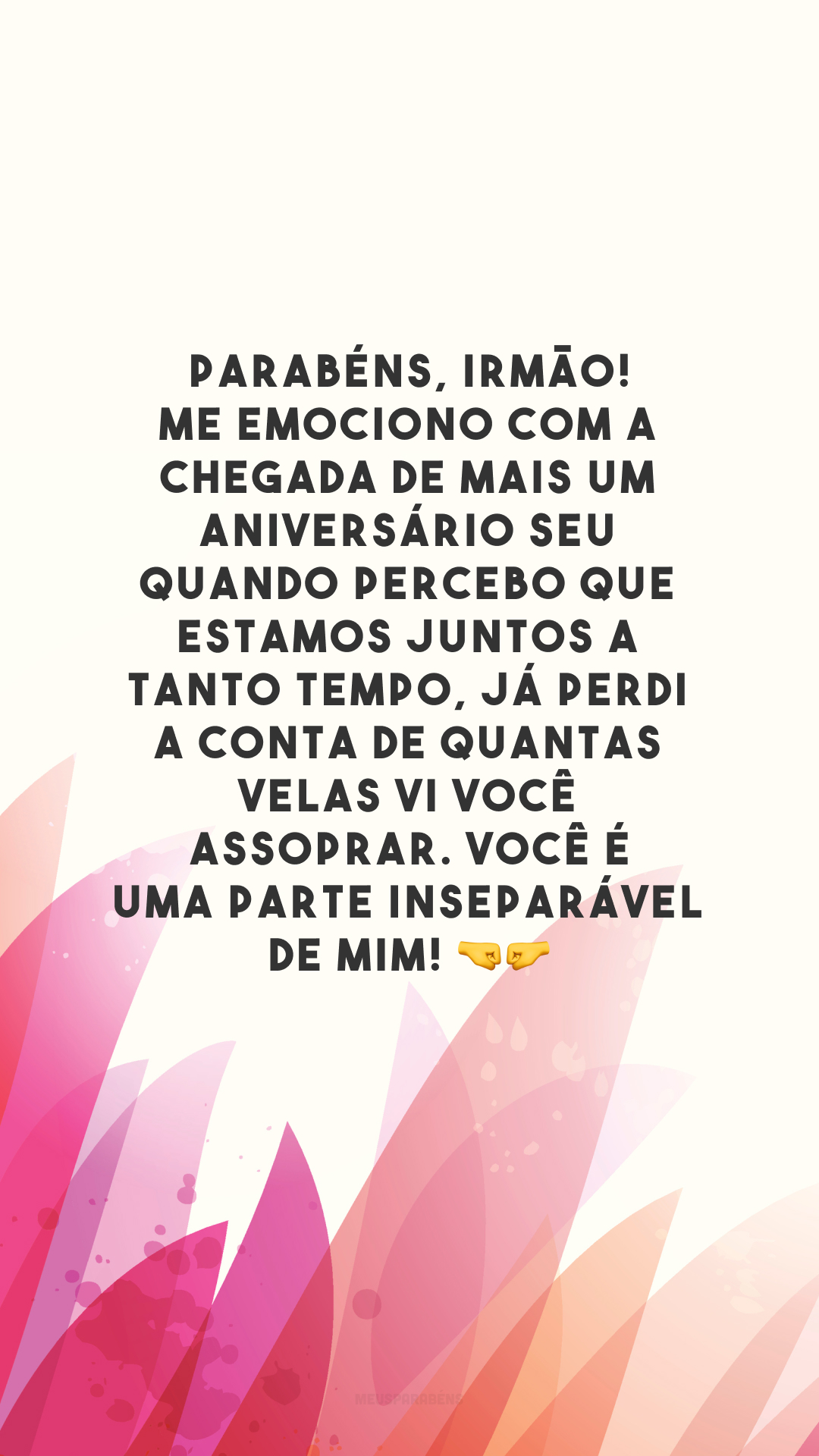 Parabéns, irmão! Me emociono com a chegada de mais um aniversário seu quando percebo que estamos juntos a tanto tempo, já perdi a conta de quantas velas vi você assoprar. Você é uma parte inseparável de mim! 🤜🤛